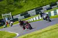 cadwell-no-limits-trackday;cadwell-park;cadwell-park-photographs;cadwell-trackday-photographs;enduro-digital-images;event-digital-images;eventdigitalimages;no-limits-trackdays;peter-wileman-photography;racing-digital-images;trackday-digital-images;trackday-photos